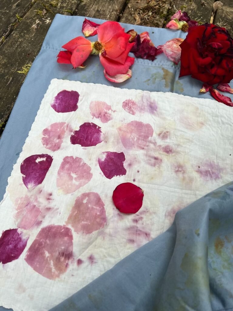 Petals laid on cloth for natural dyeing